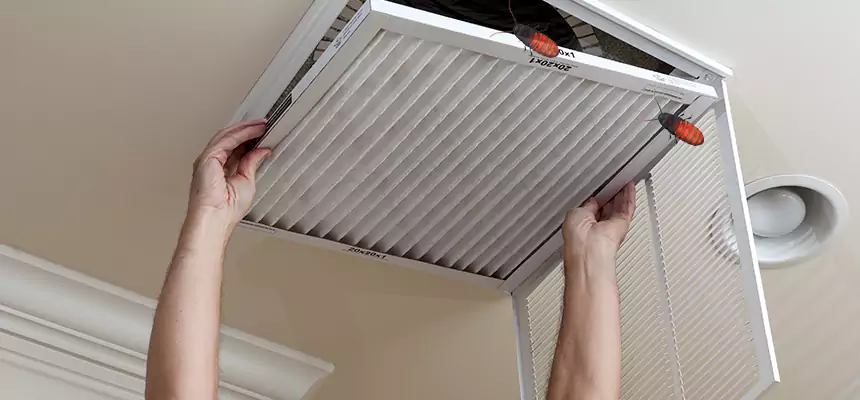 Preventive Cockroach-Proofing for Ducts in Brooklyn Center