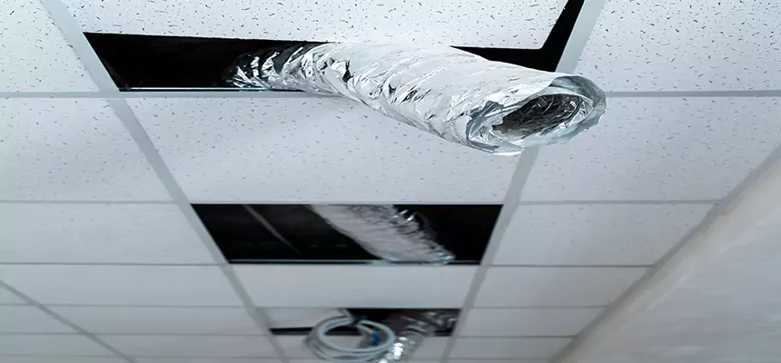 Our Air Duct Pet Hair Removal Services in Brooklyn Center, MN