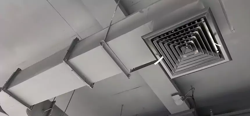 Restorative Allergy Relief Vent Cleaning – Coil, Blower & Housing Detail in Brooklyn Center