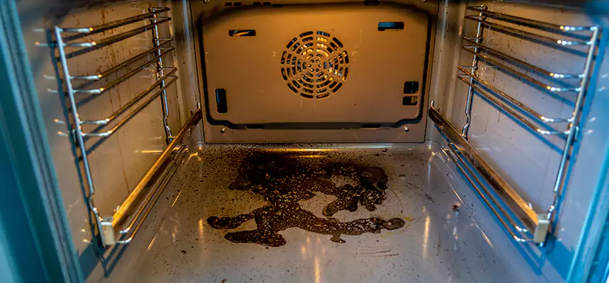 Our Dryer Vent Mold Cleaning Services in Brooklyn Center, MN