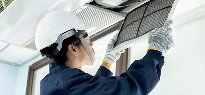 Our Mold & Mildew Removal from Air Ducts Services in Brooklyn Center, MN