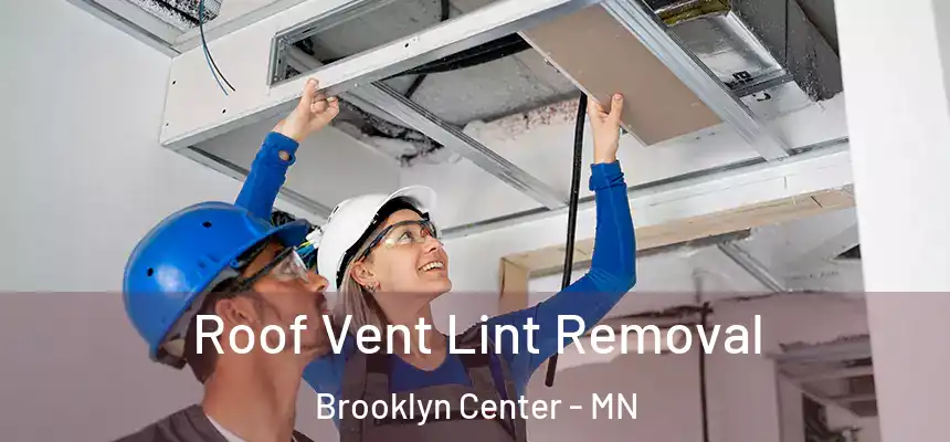  Roof Vent Lint Removal Brooklyn Center - MN