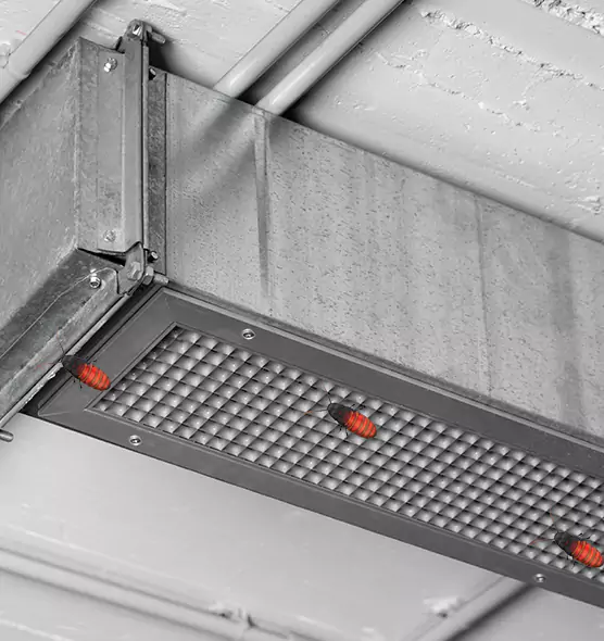 About Air Duct Cockroach Removal in Brooklyn Center, MN