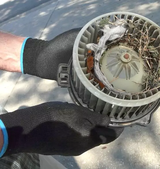 About Air Duct Rat Removal in Brooklyn Center, MN